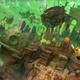 Illustration for article titled A Spoiler-Filled Guide to iGravity Rush/i (If You Want To Just Play the Sequel)